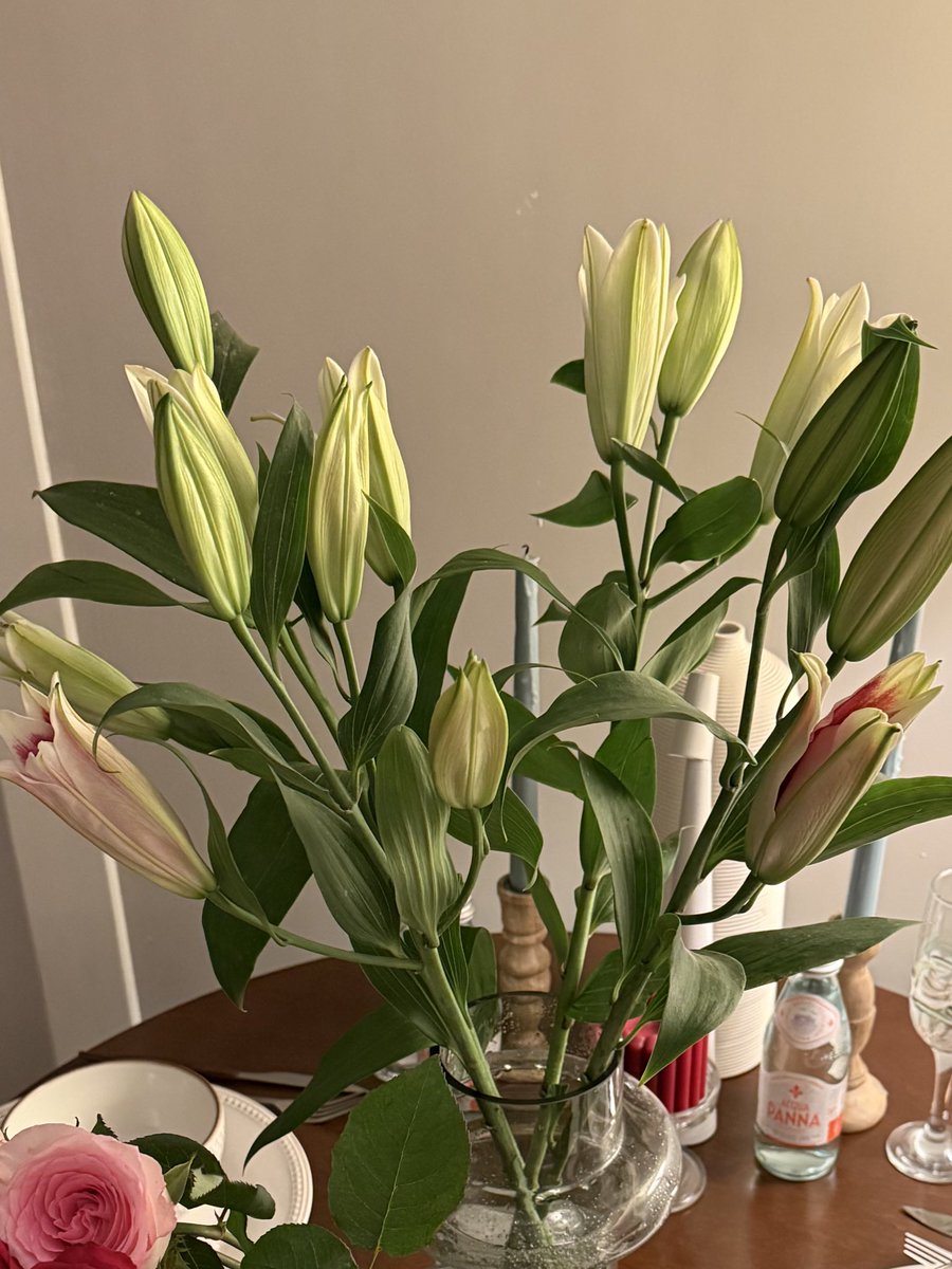 مُبهَم tweet media