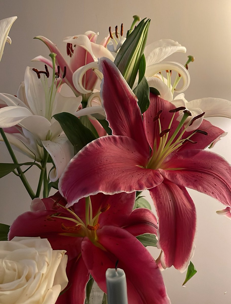 مُبهَم tweet media