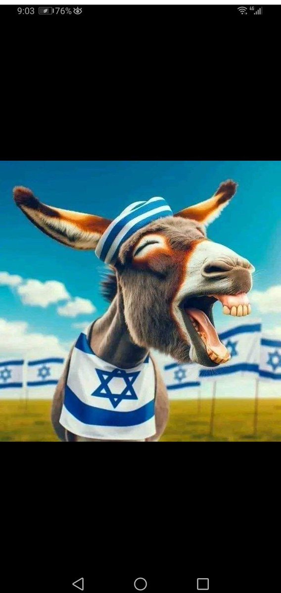 المنسي tweet media