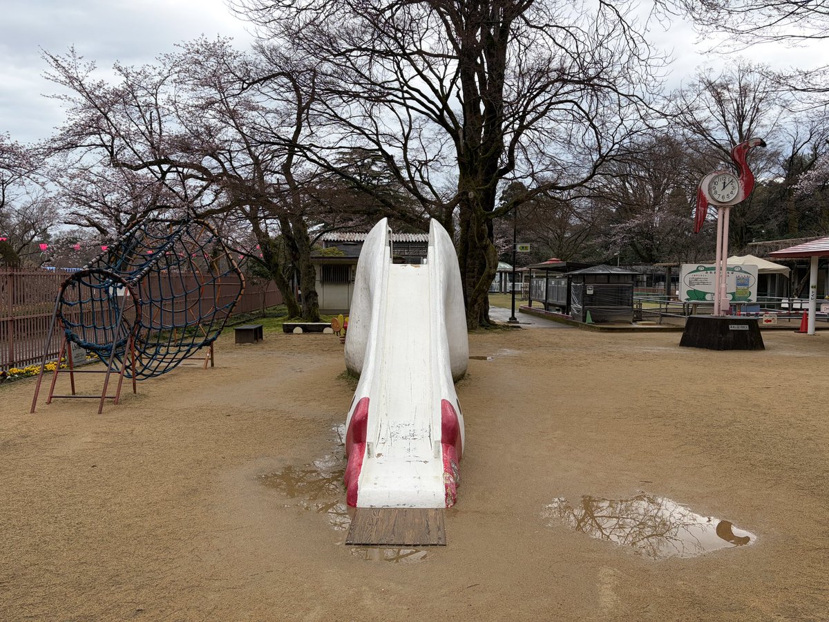 せきしろ tweet media