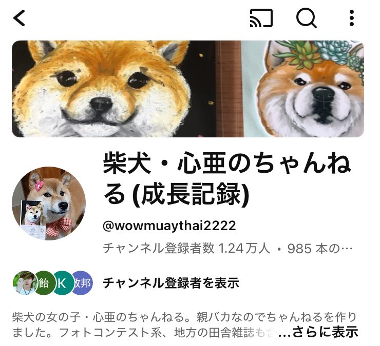 Takasan43228157's tweet image. Instagramとyoutubeもやってます。こちらは、現在の心亜を中心に。このXでは過去の心亜を紹介することが多いです。

良かったら見てください☺️

#dogsofinstagram #心亜 #柴犬 #しばいぬ #かわいい犬 #柴犬が好き過ぎるで使っていいよ #柴犬のいる生活 #柴犬との暮らし