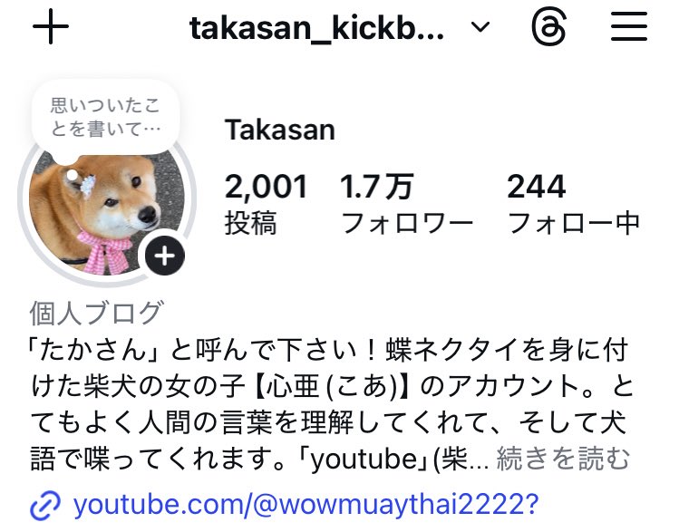 Takasan43228157's tweet image. Instagramとyoutubeもやってます。こちらは、現在の心亜を中心に。このXでは過去の心亜を紹介することが多いです。

良かったら見てください☺️

#dogsofinstagram #心亜 #柴犬 #しばいぬ #かわいい犬 #柴犬が好き過ぎるで使っていいよ #柴犬のいる生活 #柴犬との暮らし