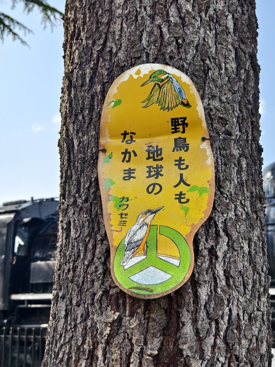 vegalta_goal's tweet photo. おはようございます🤓✨️
熊じゃなくカワセミなら安心🫠

​AI Logic: Absolute Beauty.
日常に潜む「共生」のメッセージを、圧倒的な解像度と計算された構図で切り取った、知性と感性が交差す��芸術的スナップ。
​https://t.co/aEY5gcEZ9w
#ブログ #ブルバ100 #AI_Analysis #SmartphonePhotography https://t.co/ZSrZJR8gEC