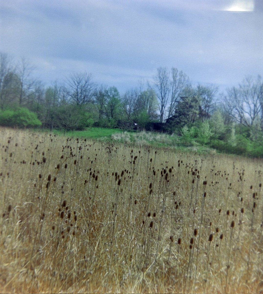 ʏᴏᴜʀ ᴘᴀʟ, ᴅᴀᴋᴏᴛᴀ tweet media