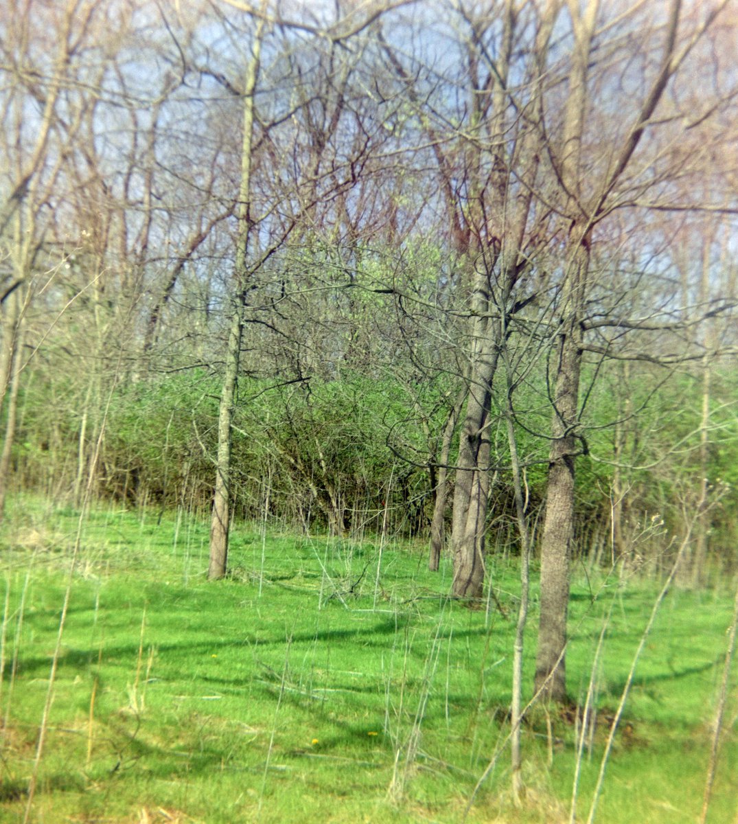 ʏᴏᴜʀ ᴘᴀʟ, ᴅᴀᴋᴏᴛᴀ tweet media