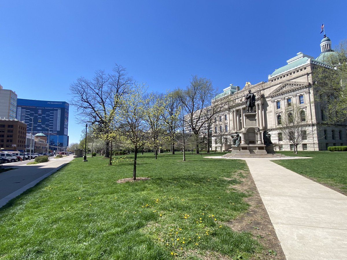 Bezu Halliwell tweet media