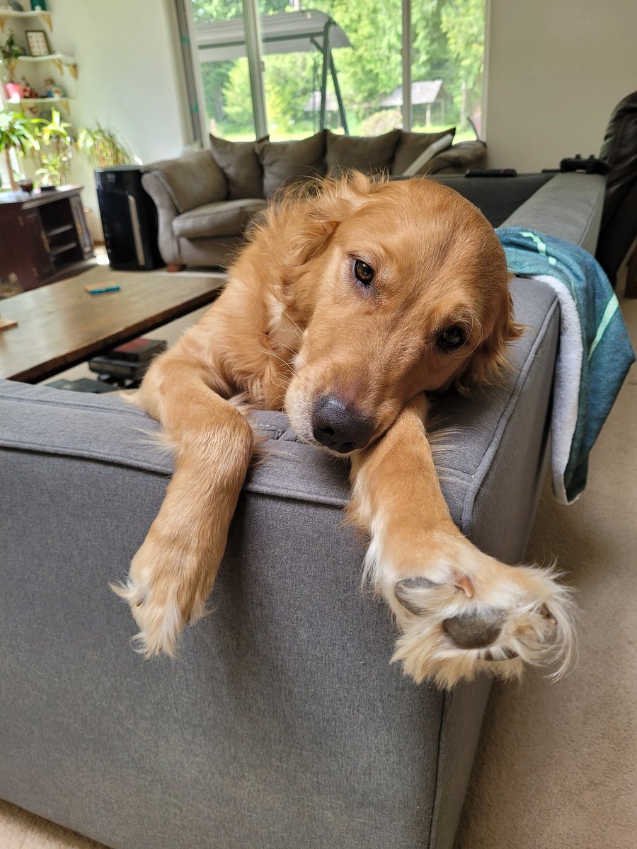 Trillian Spencer 🐳 tweet media