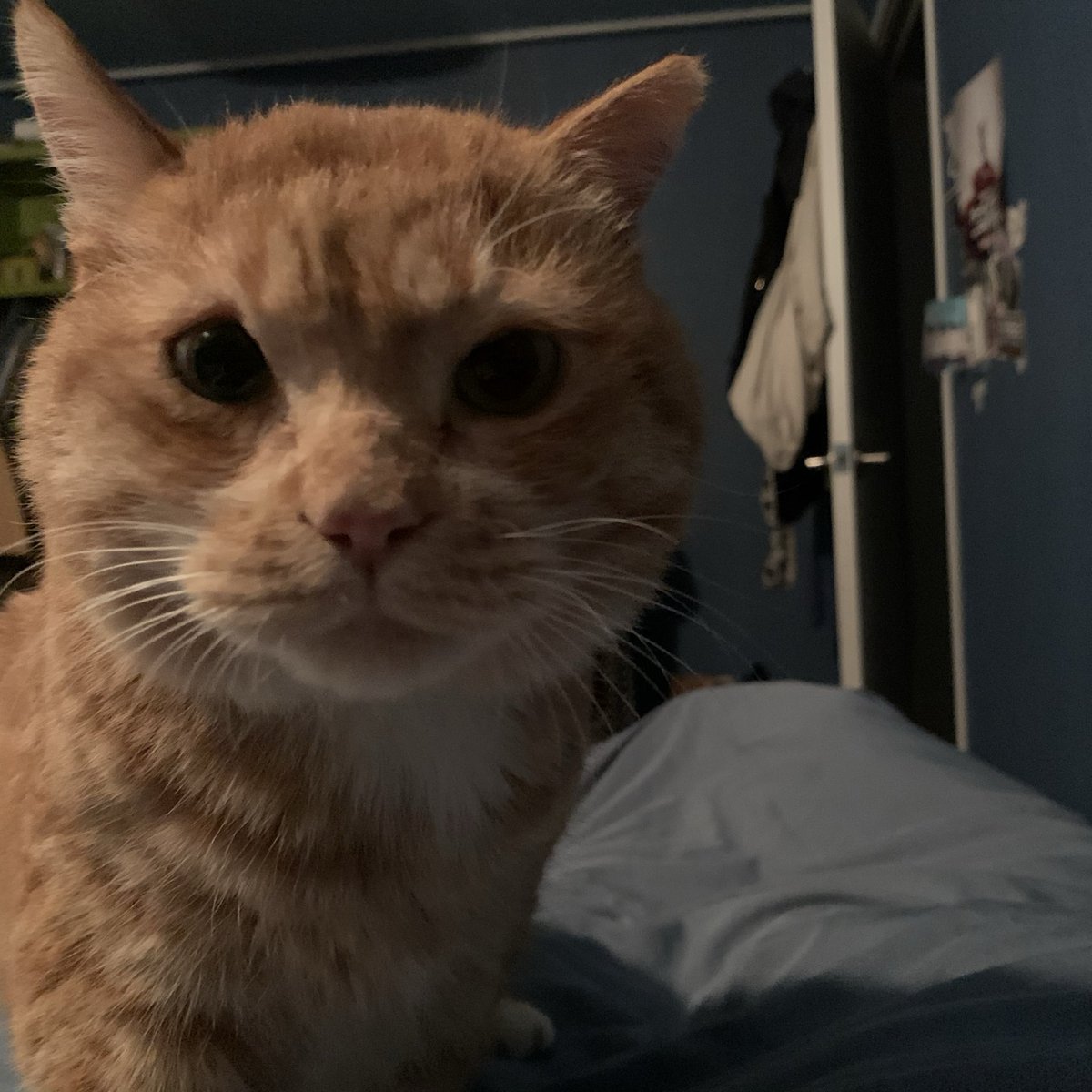 김냄비 tweet media