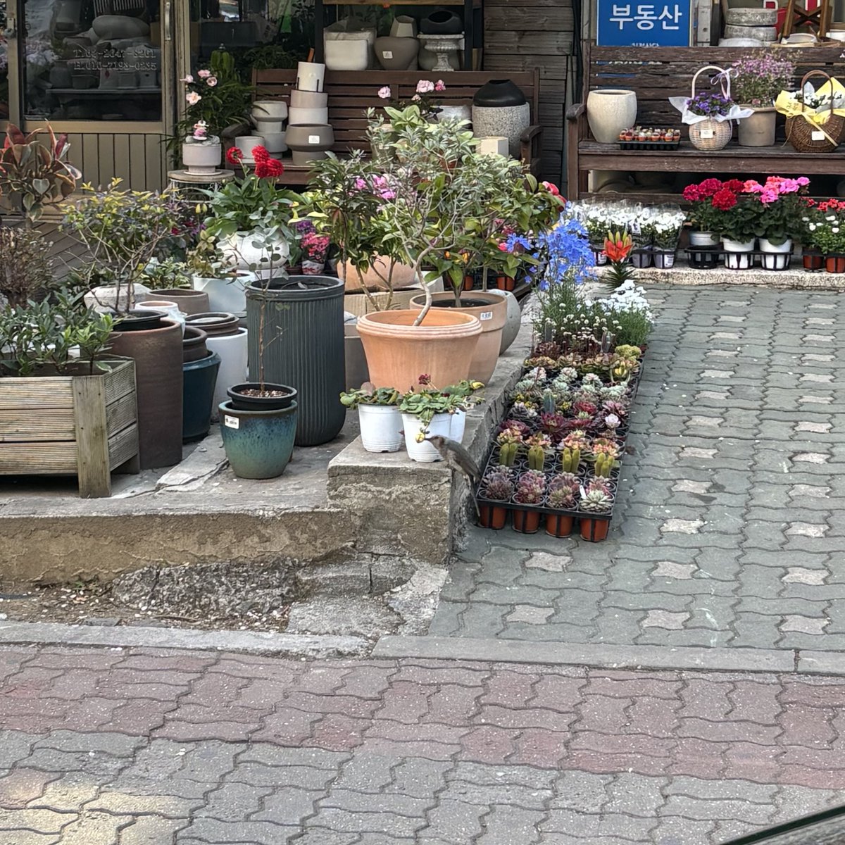 다시온실로돌아갈노동자 tweet media