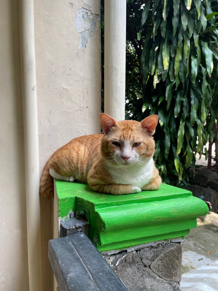 Depok Banget tweet media