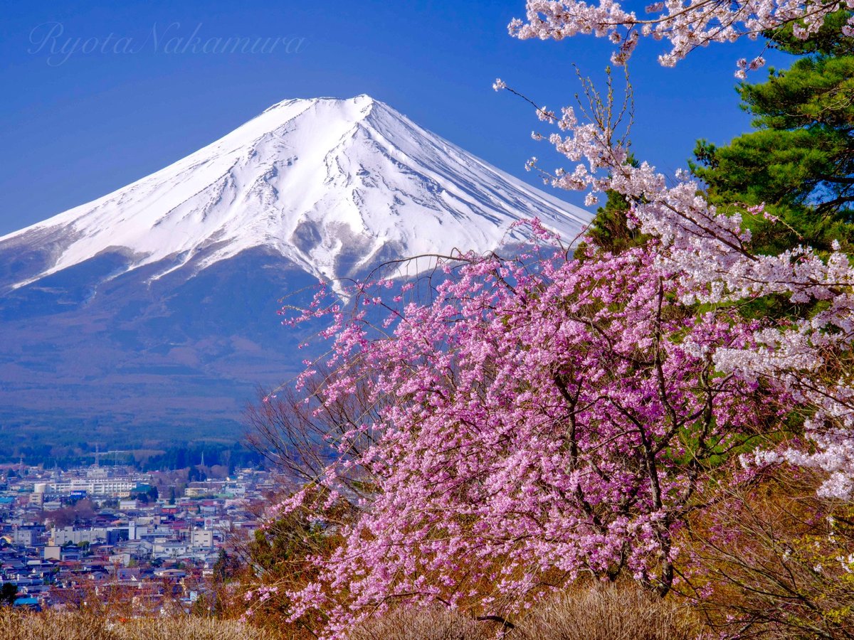 Ryota@富士山写真家 tweet media