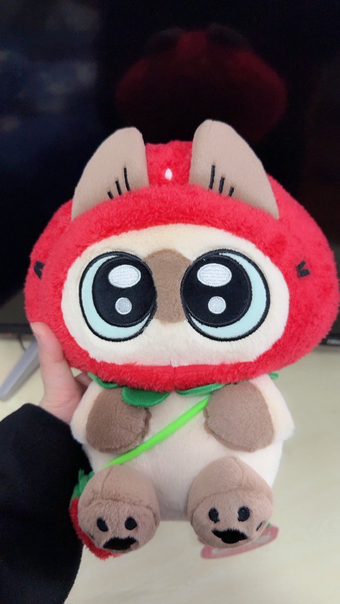 hygbaek's tweet photo. 小豆泥我们喜欢你…… https://t.co/pfzKqQ1OFP