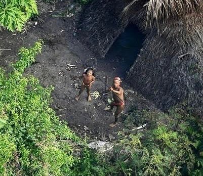 Daniel Scott tweet media