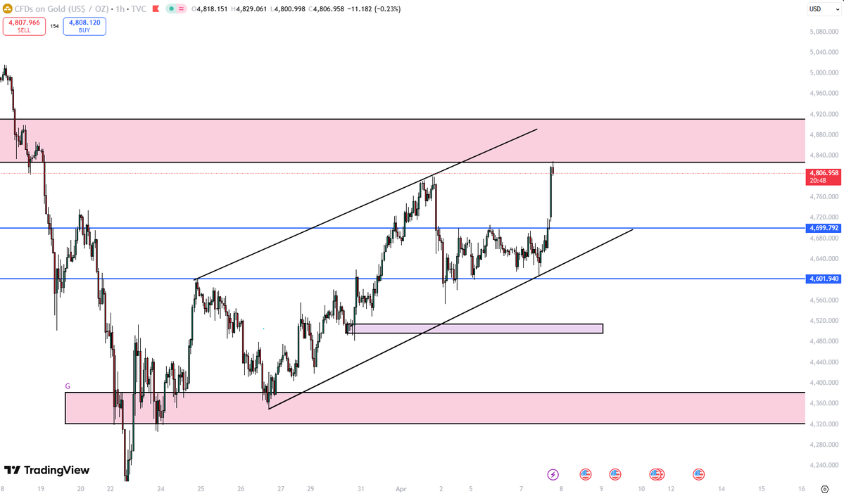 MSA | Trader tweet media