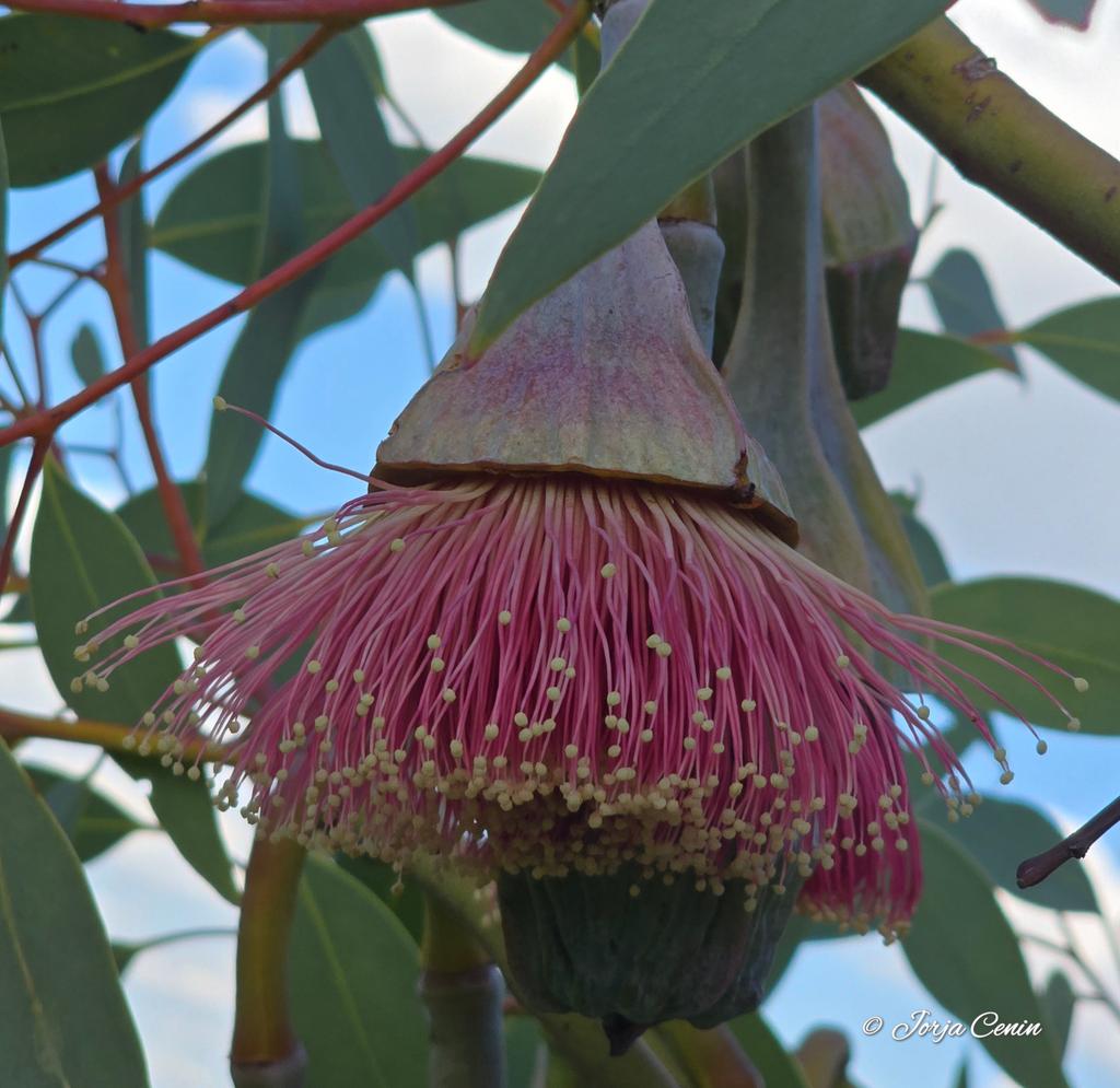 Into Nature Photography with Jorja tweet media