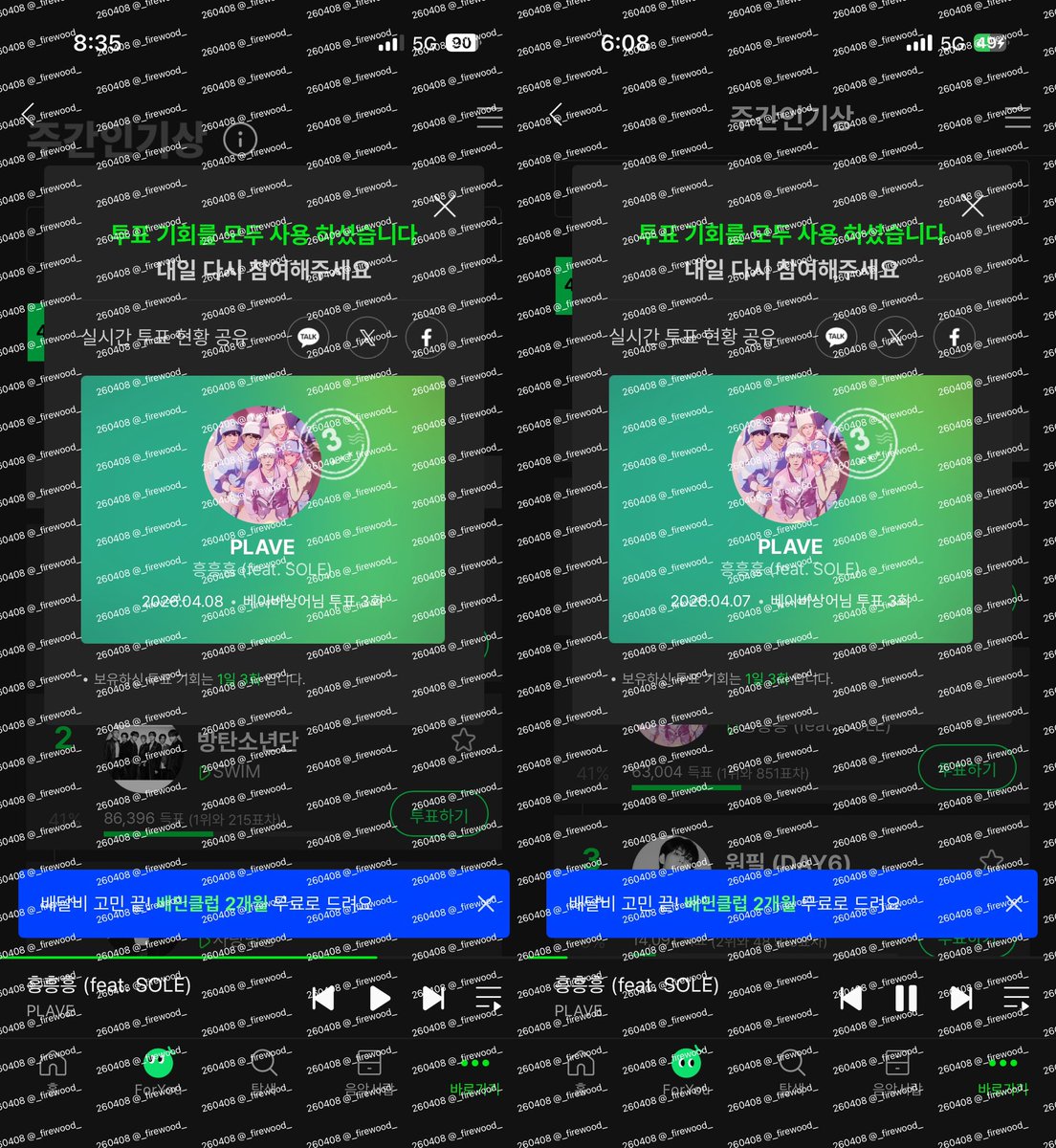 새싹상어 tweet media