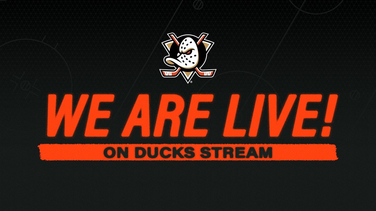 Ducks Stream tweet media