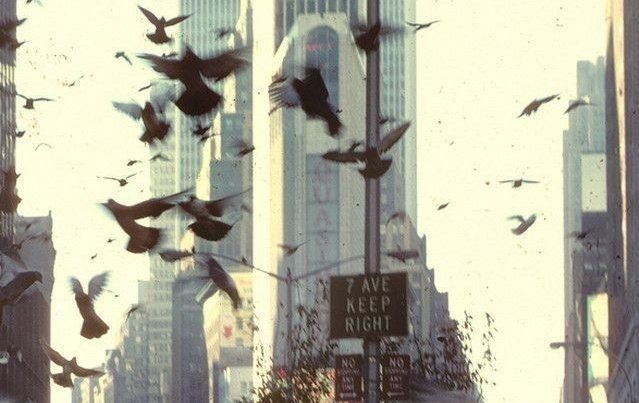 moww | fsr on wa! tweet media