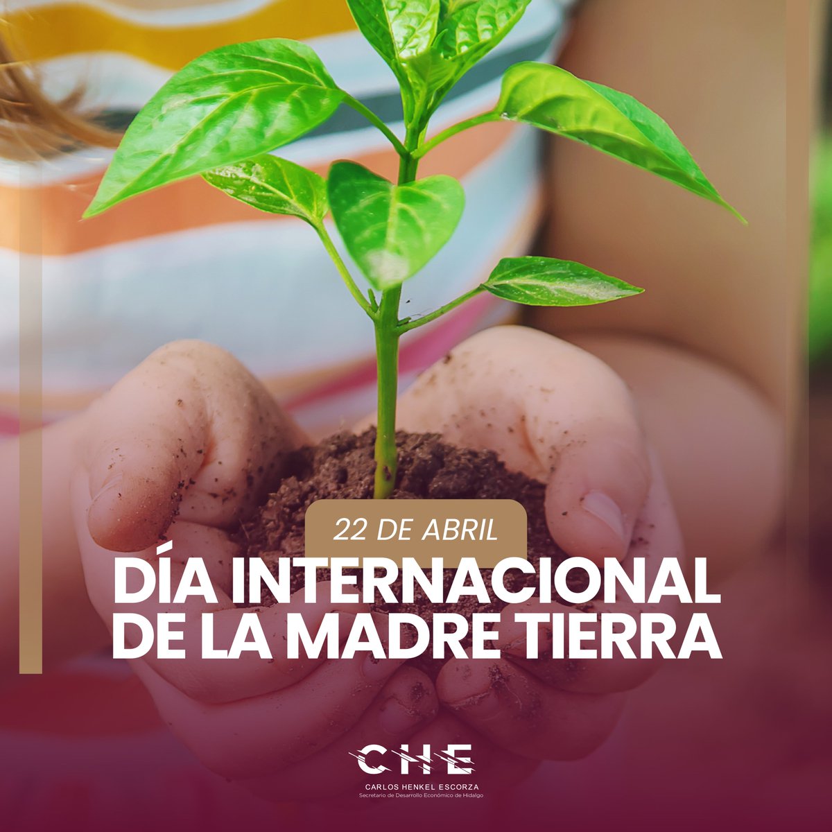 CARLOS HENKEL ESCORZA tweet media