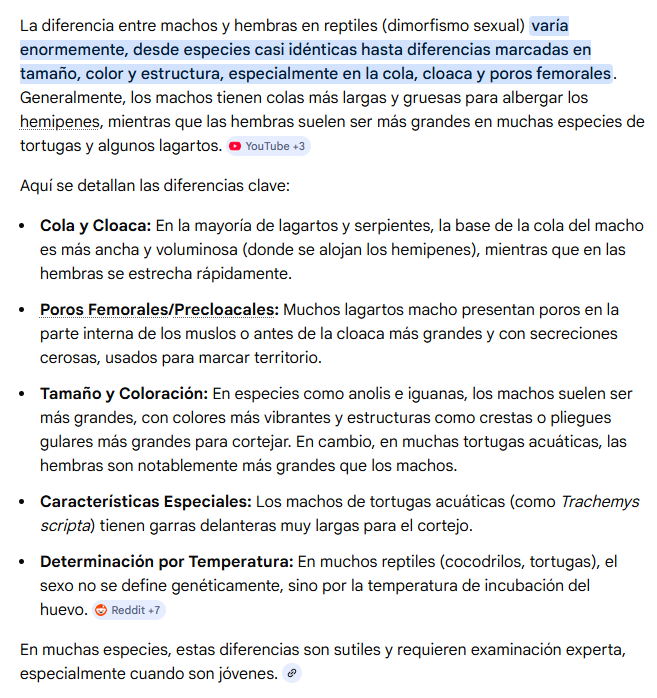 Brando_247 tweet media