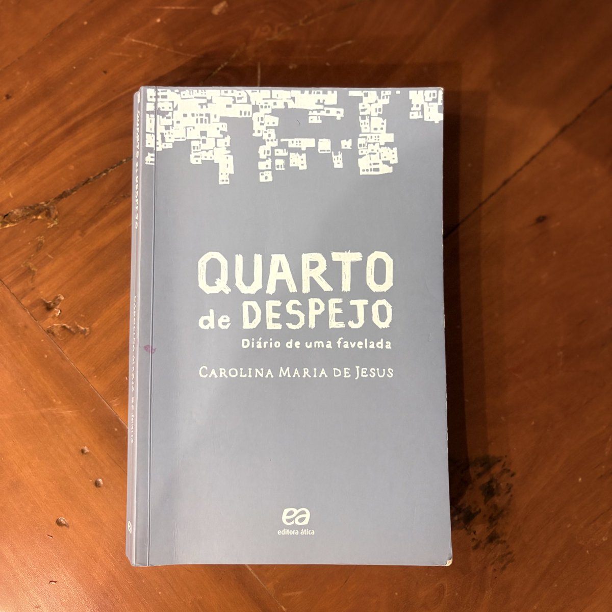 Fernanda Chavedar 🦉 tweet media