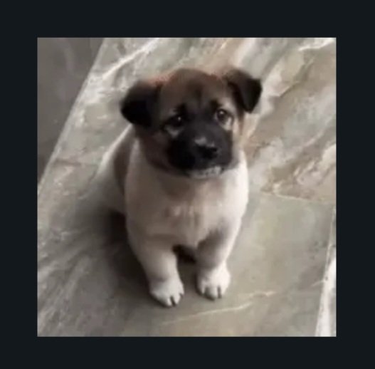 Santana 🪐 tweet media