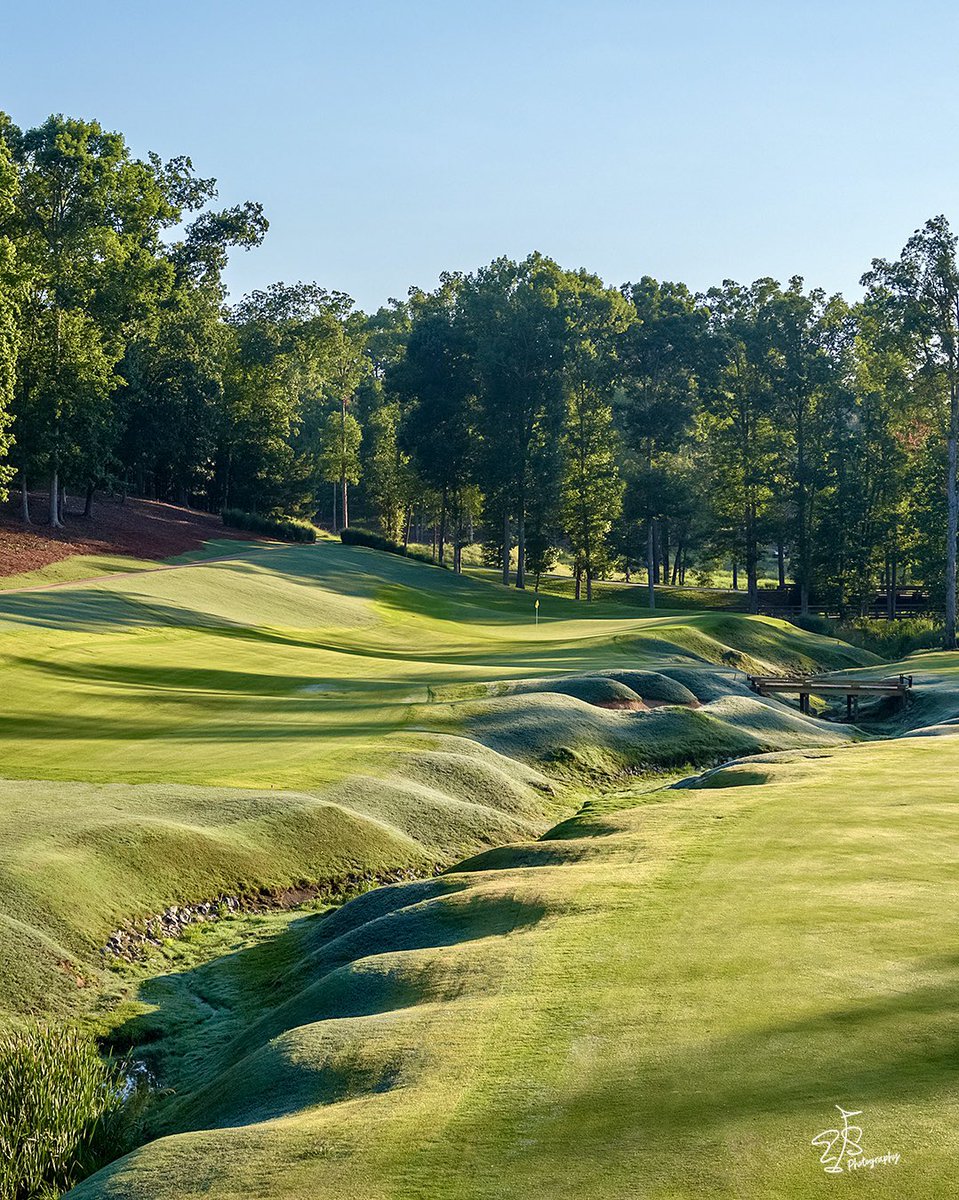 Evan Schiller tweet media