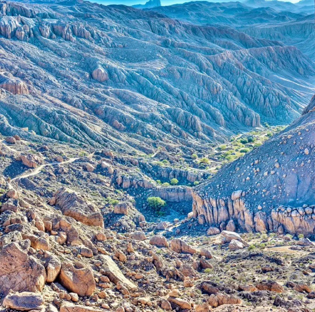 𝑴𝒐𝒉𝒂𝒎𝒆𝒅_𝑲𝒂𝒍𝒊𝒃𝒐𝒖𝒎𝒊🦁 tweet media