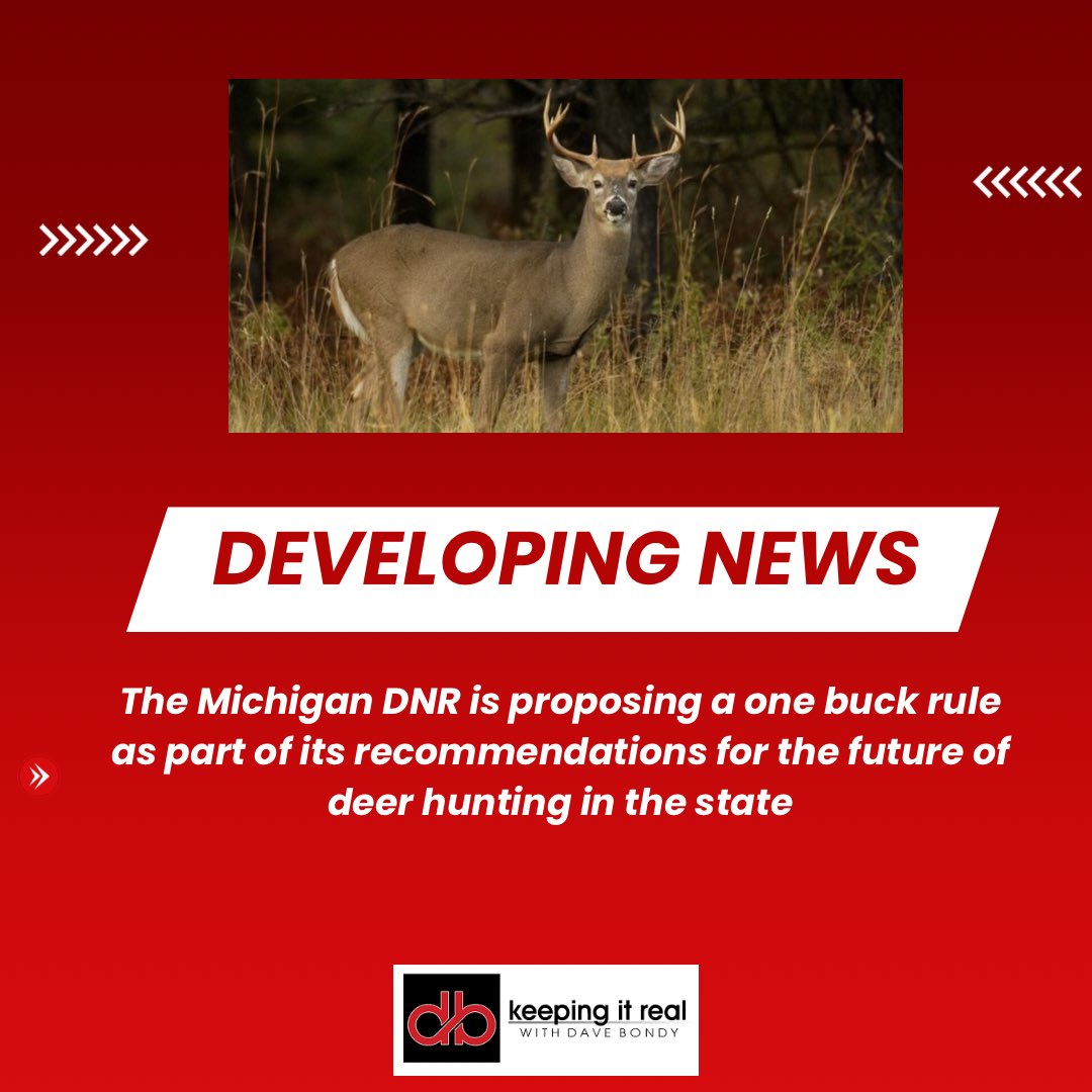 Dave Bondy tweet media