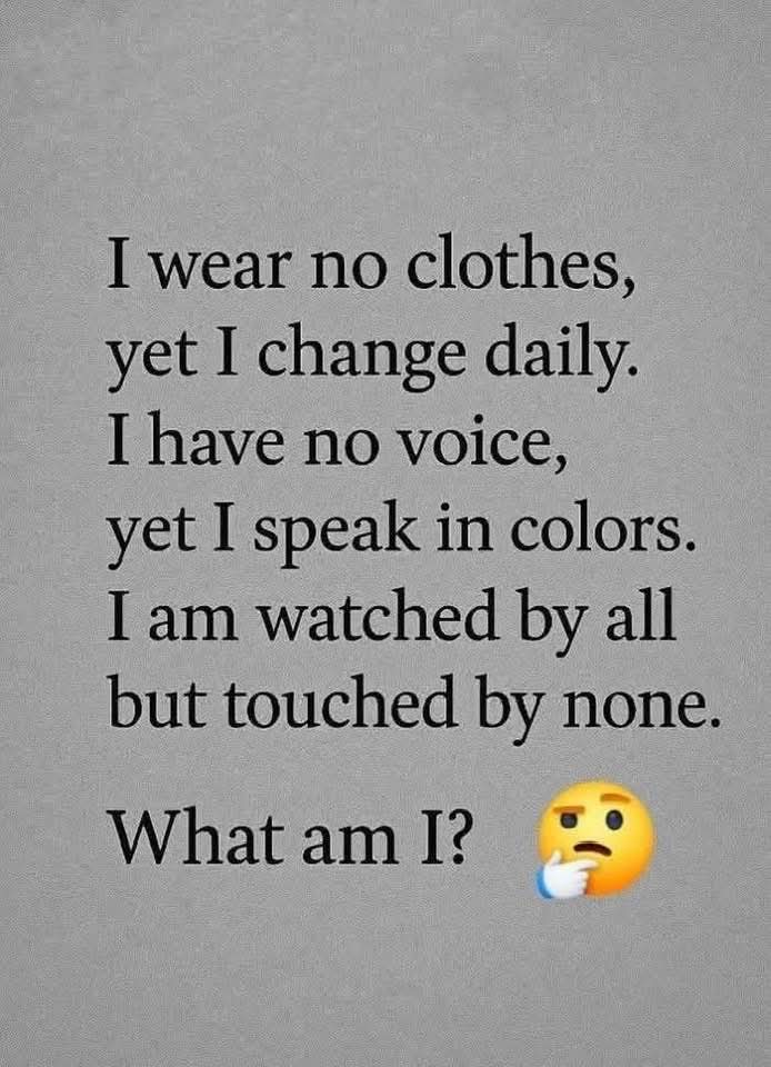 Lily 🇺🇸 tweet media