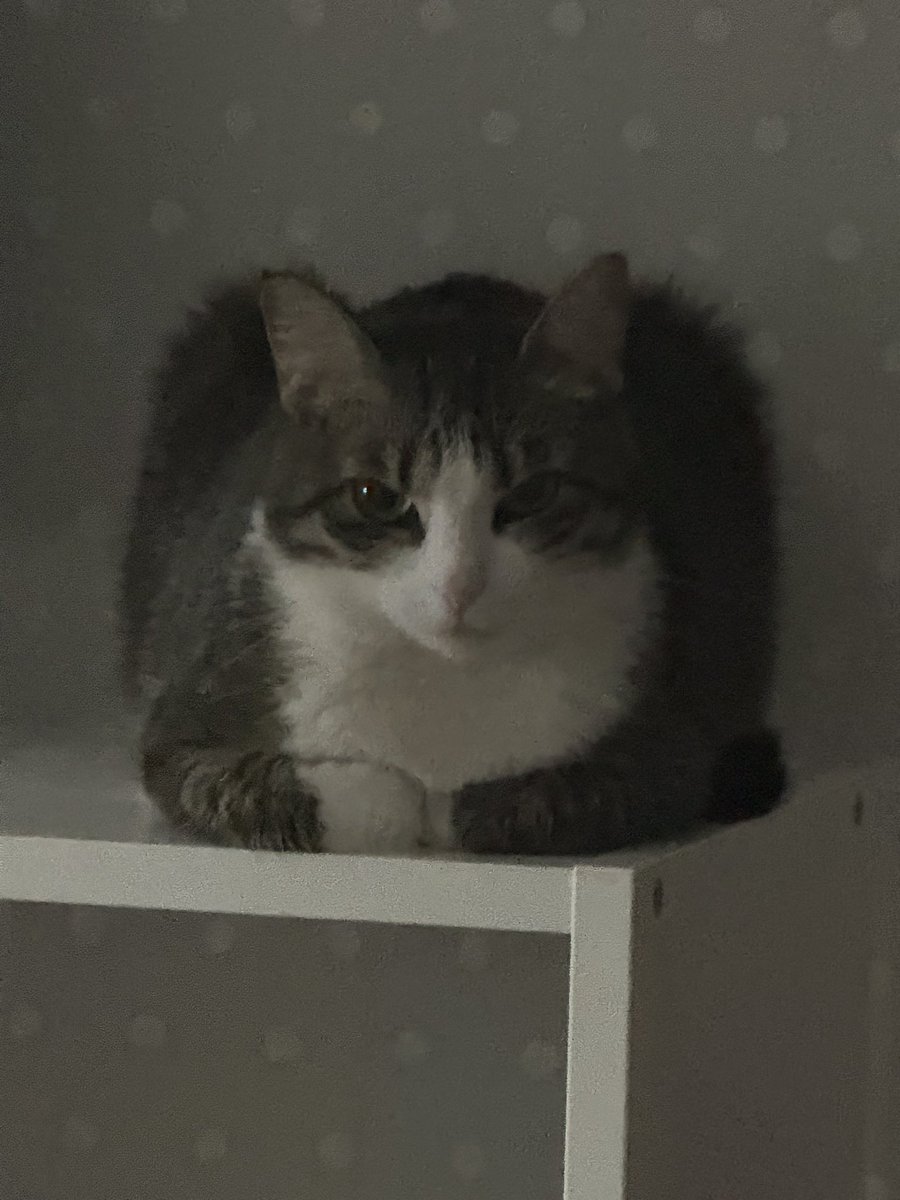 yasya🗯️ tweet media