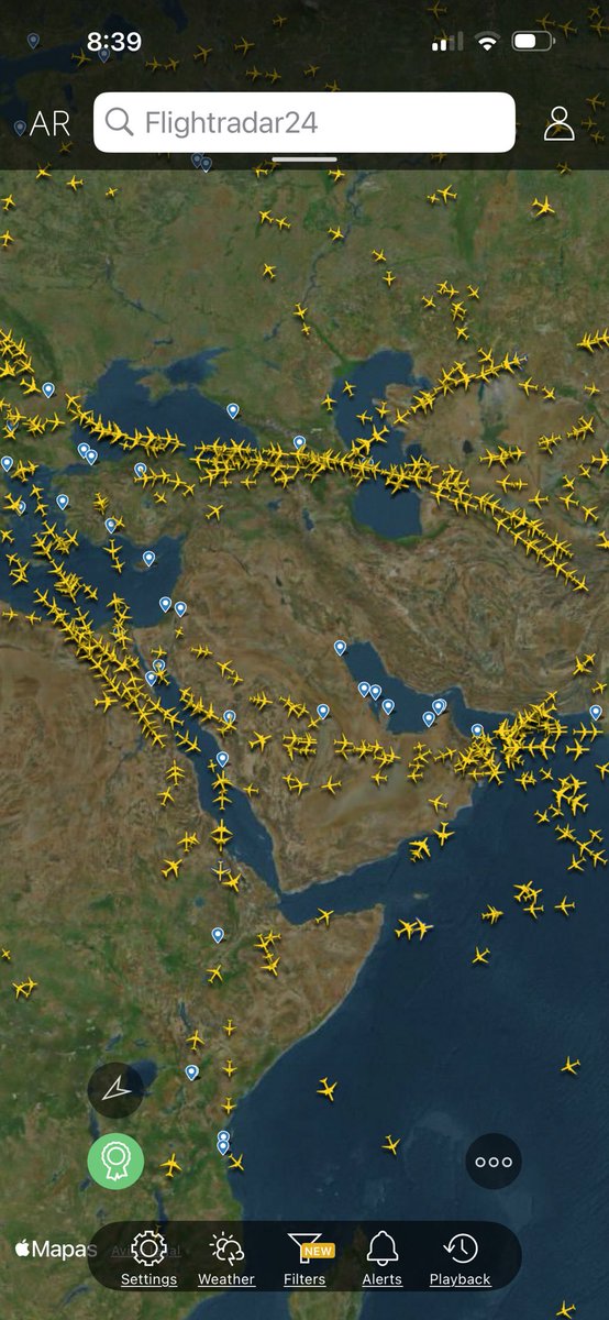 Majo 🍄 tweet media