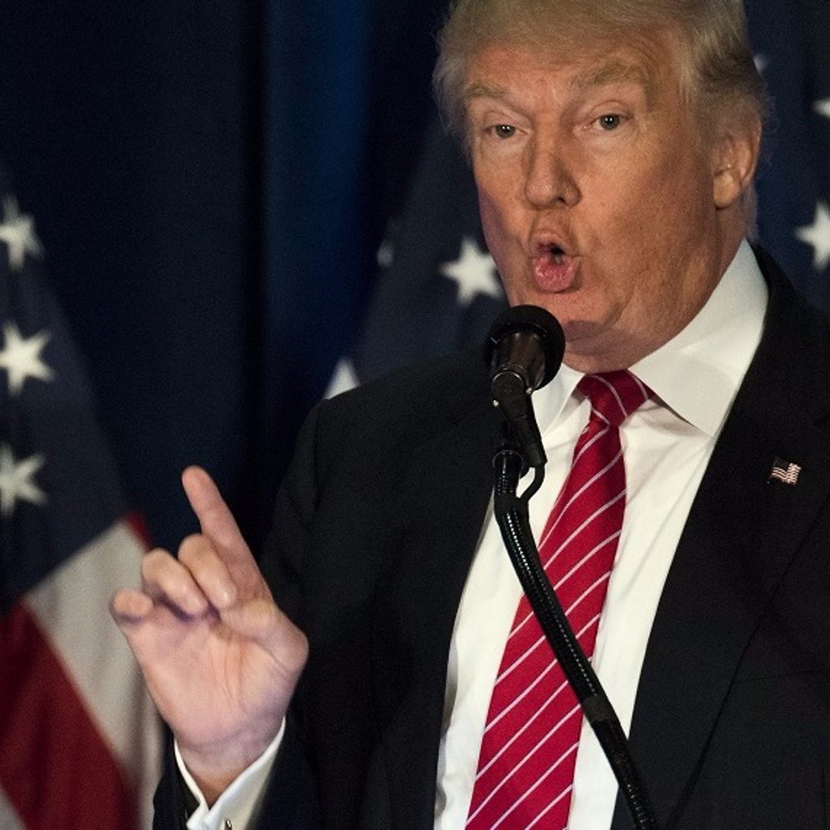 PanEuropeanMovement tweet media