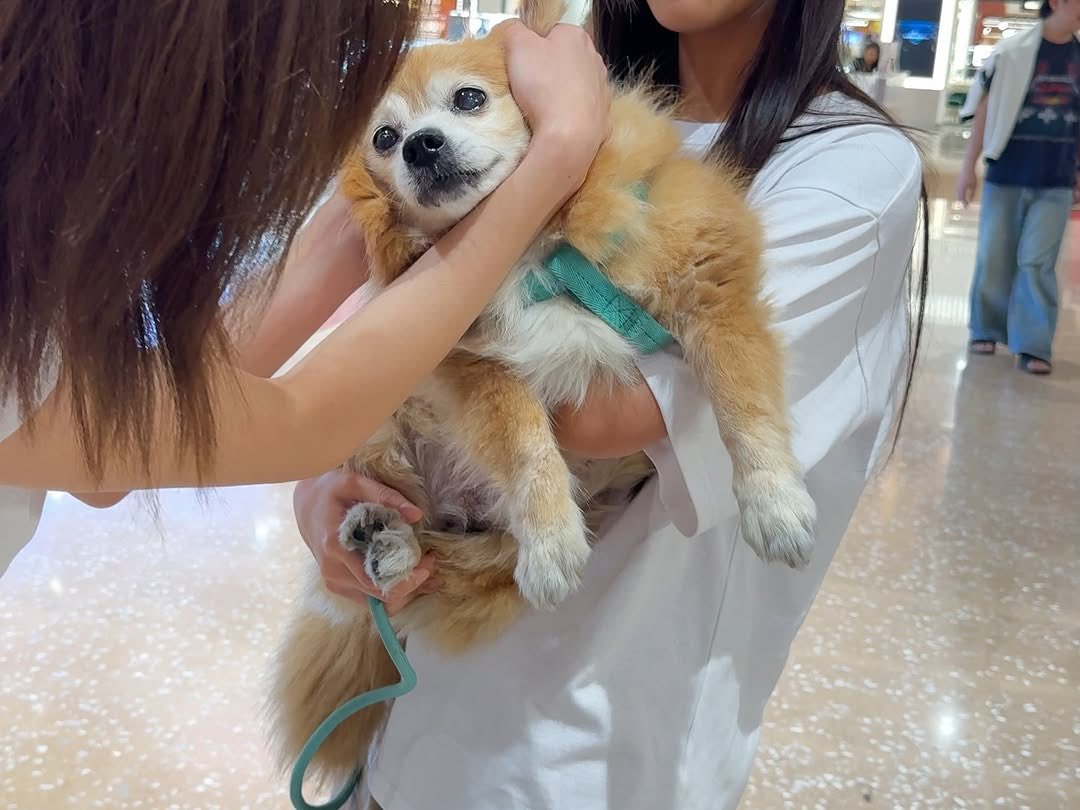 bzonnie's tweet photo. Random 🐕🦴🤓📂✏️🐾 by 🧡 https://t.co/IVhS7oh7FI