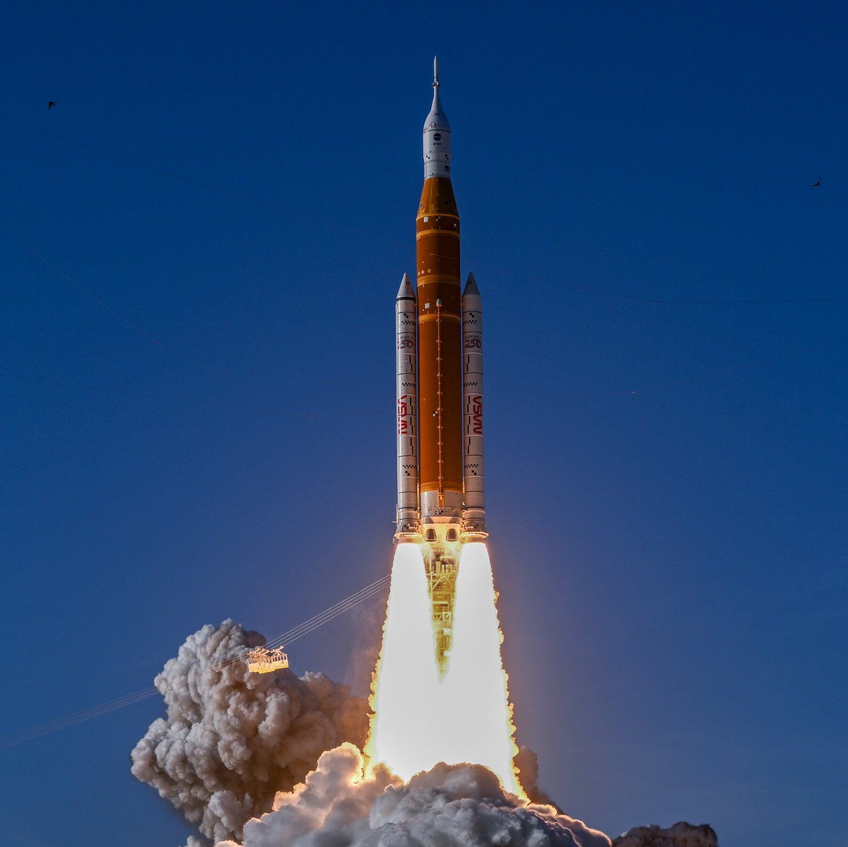 Liberal Hivemind tweet media