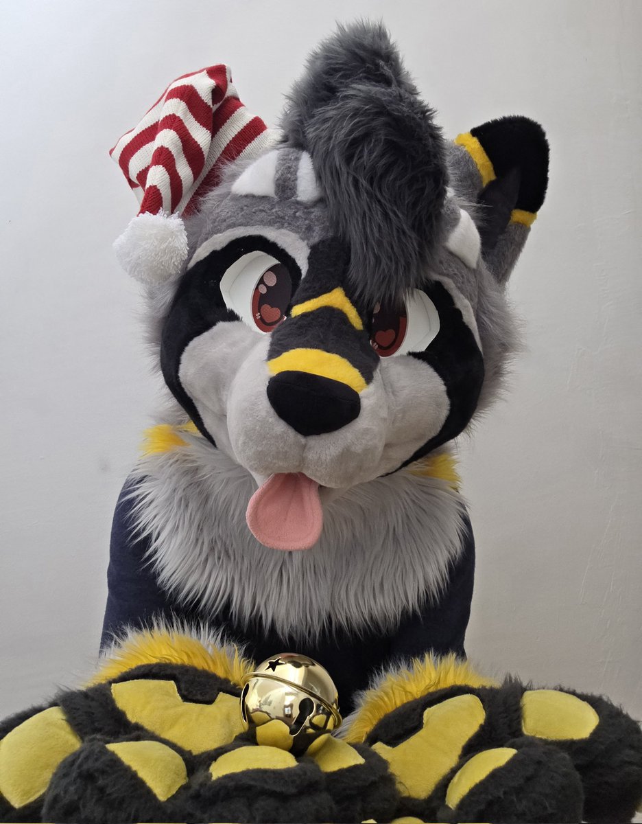 Reikko 🦝 tweet media