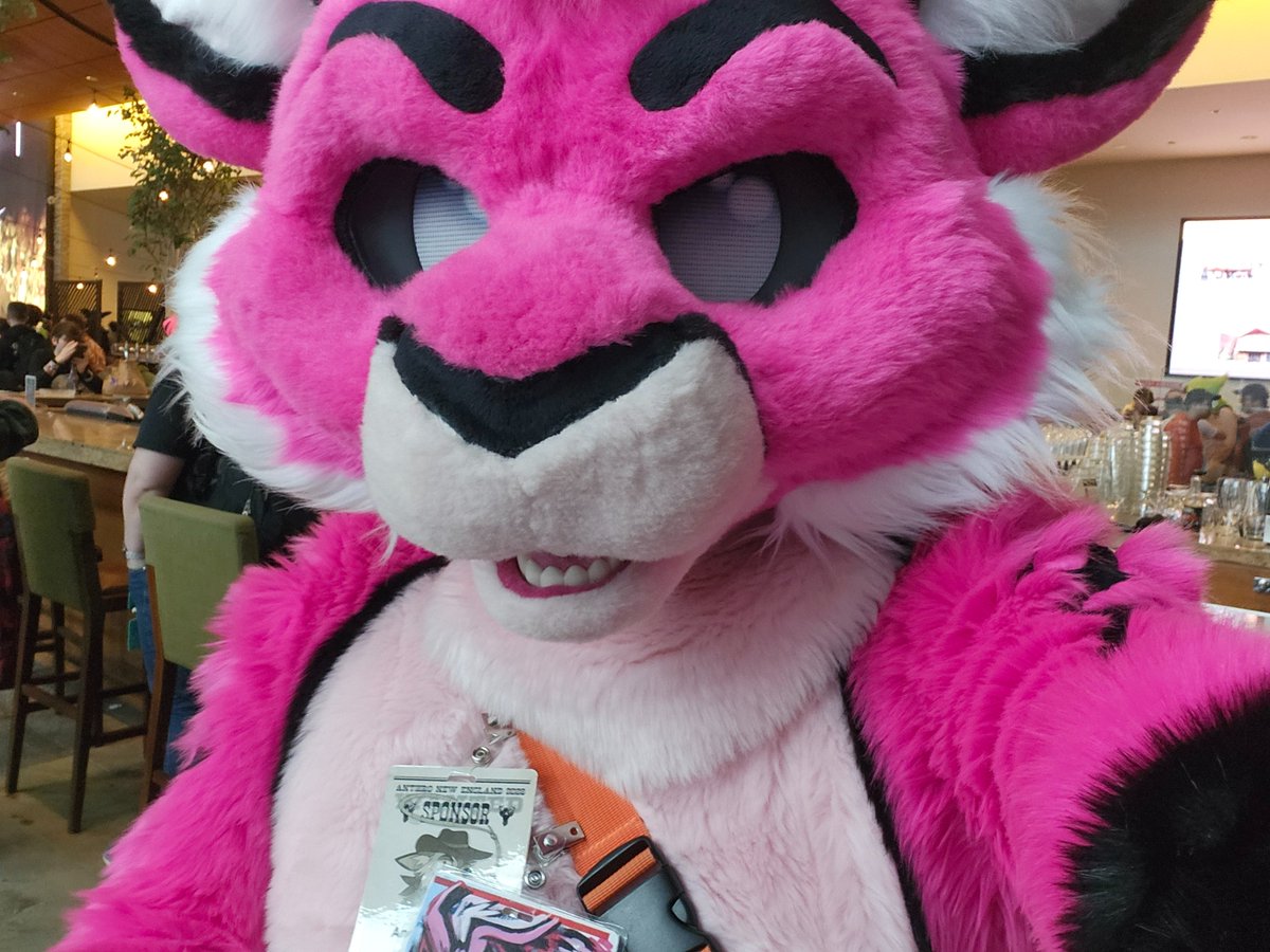 Andrew Fenbit tweet media