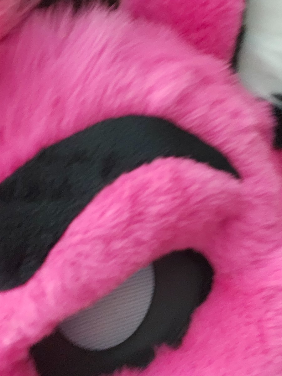 Andrew Fenbit tweet media