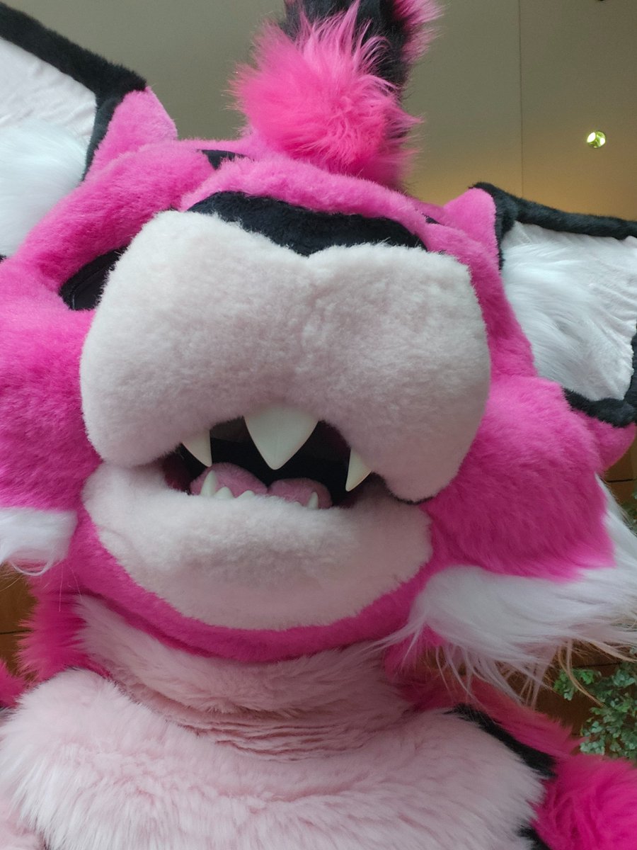 Andrew Fenbit tweet media