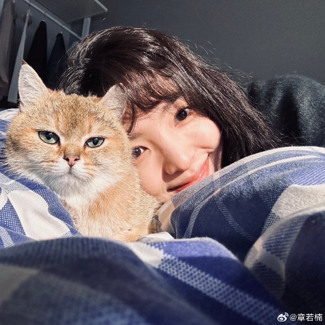 𝓜𝓪𝔂 ❄︎ tweet media