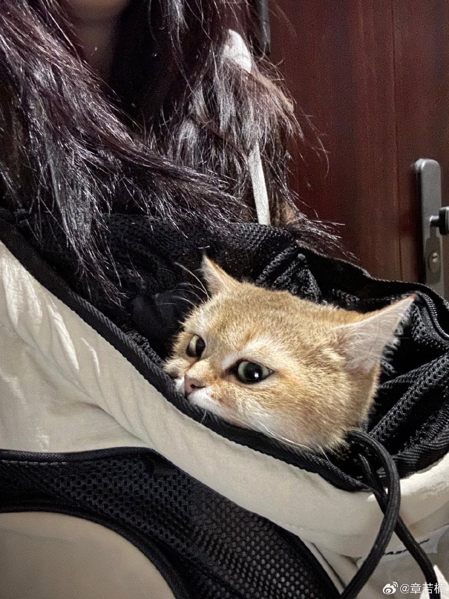 𝓜𝓪𝔂 ❄︎ tweet media