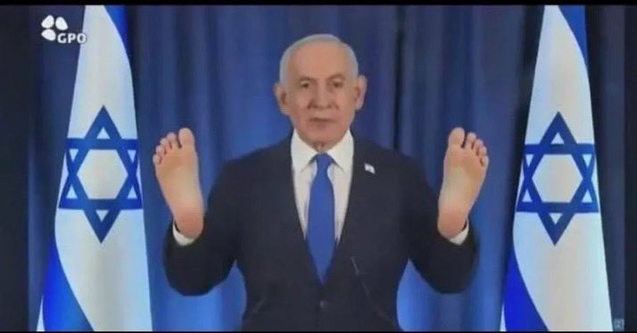 War Wombat, PhD tweet media