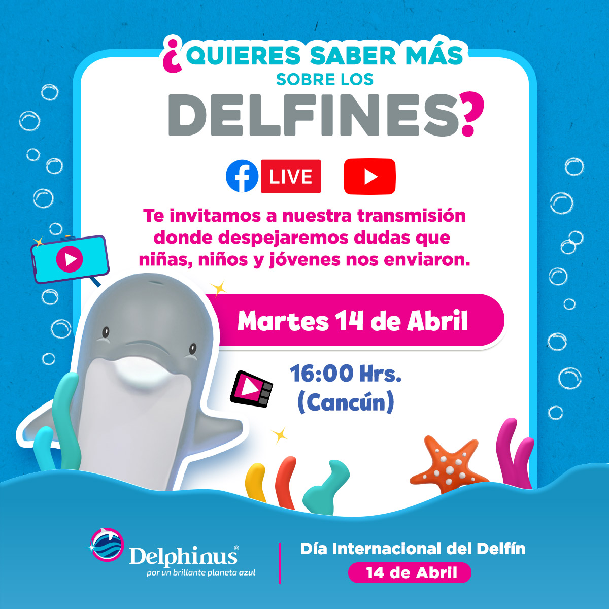 Delphinus🐬 tweet media