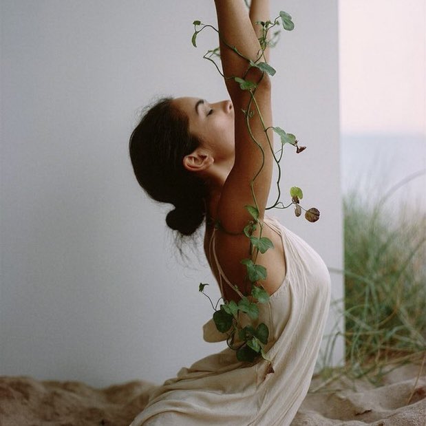 Rose🥀 tweet media