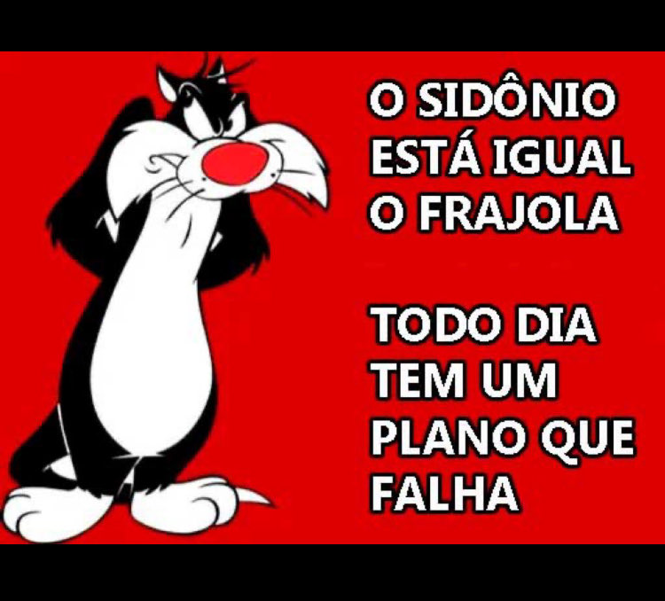 Super raposinha tweet media