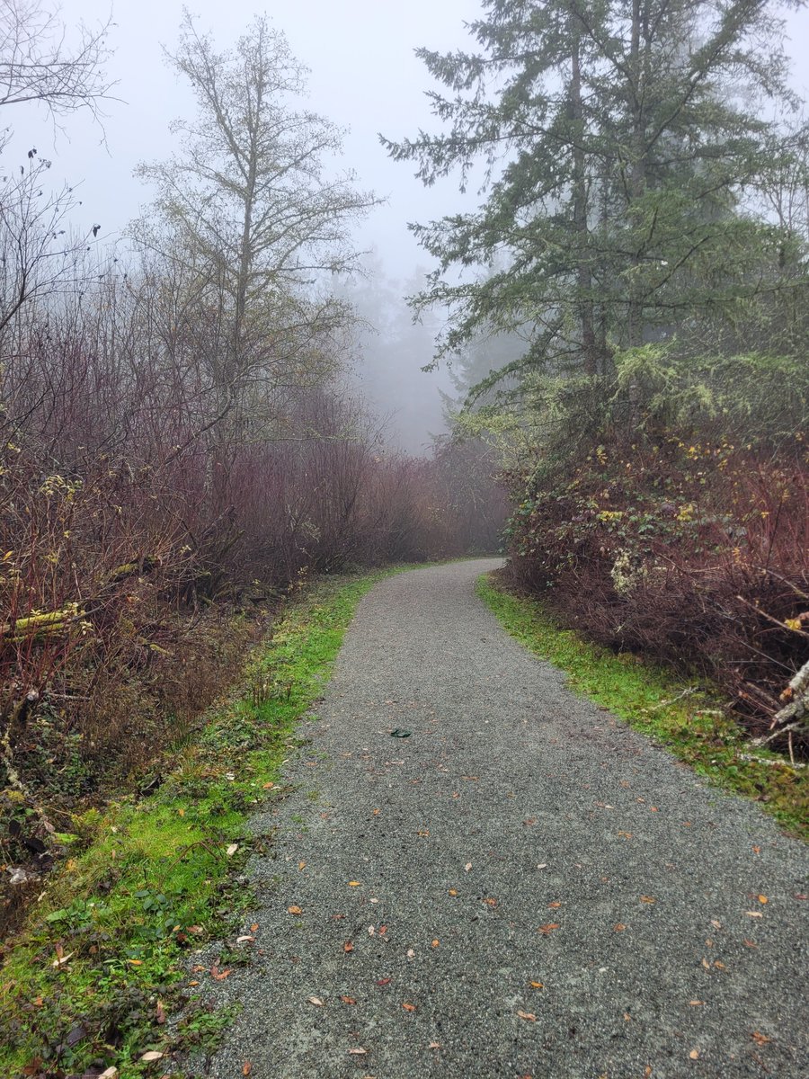 Septimus Brown tweet media