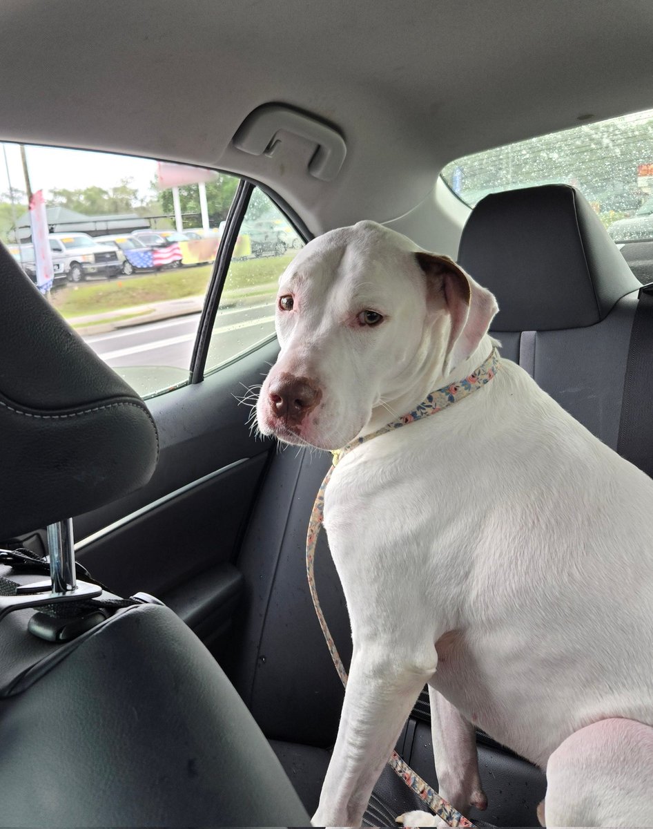 TraderJill (Leigh) tweet media