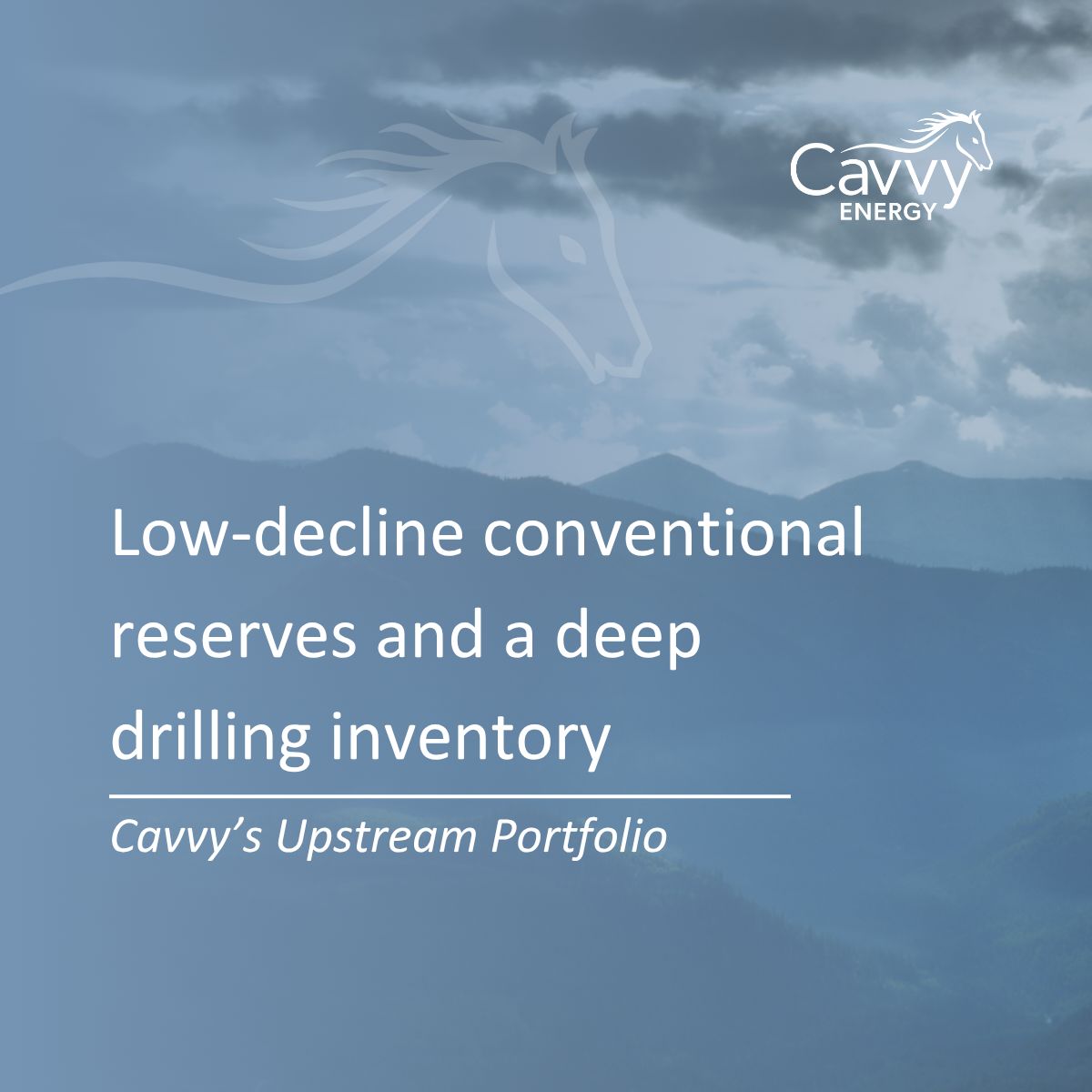 Cavvy Energy Ltd. tweet media