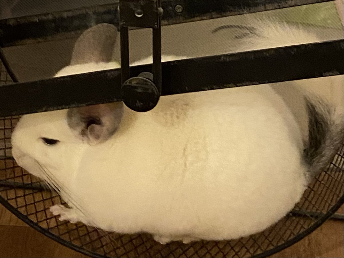 タカミツ tweet media