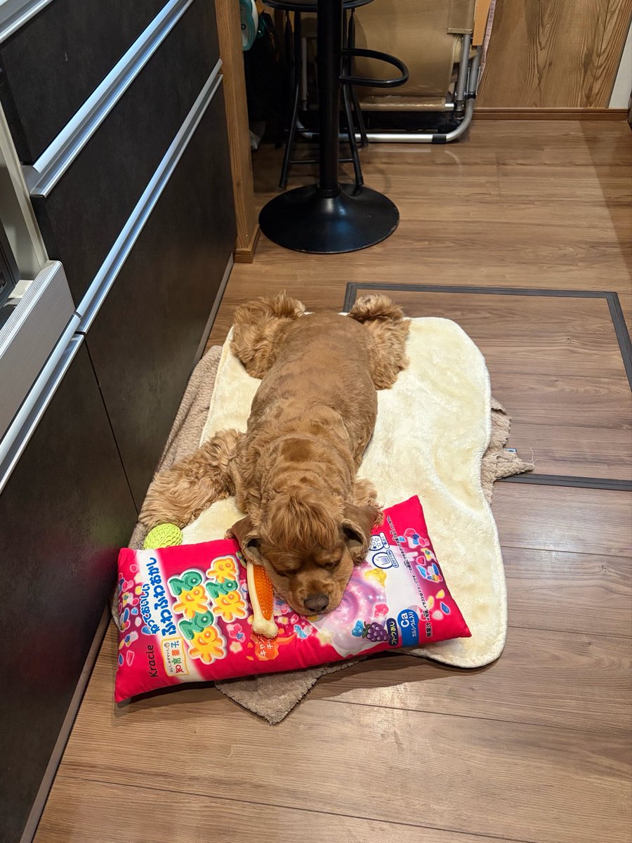 トニー tweet media